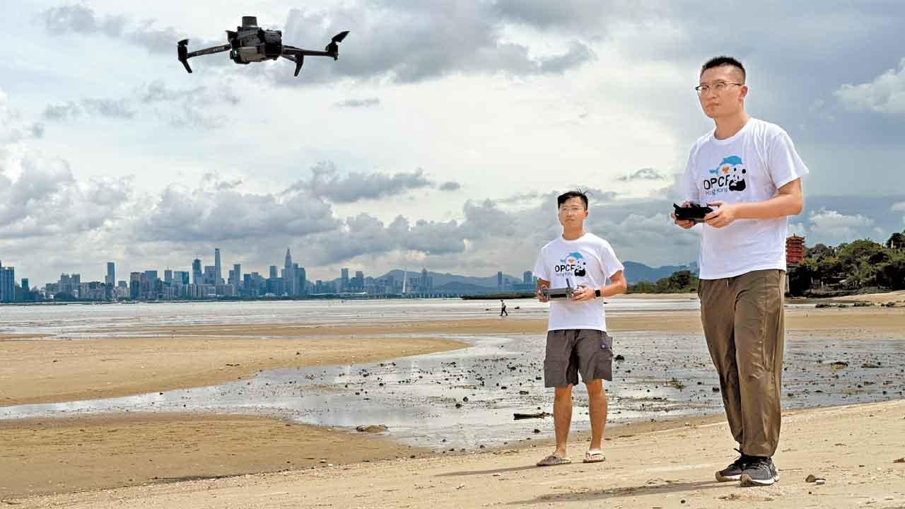 引無人機及AI識別年幼馬蹄蟹 團體︰省時省人 準確達九成