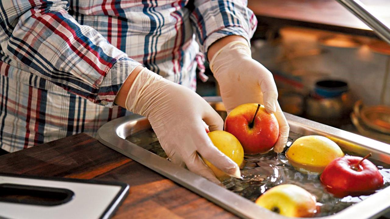 食品安全 營養健康的防線 