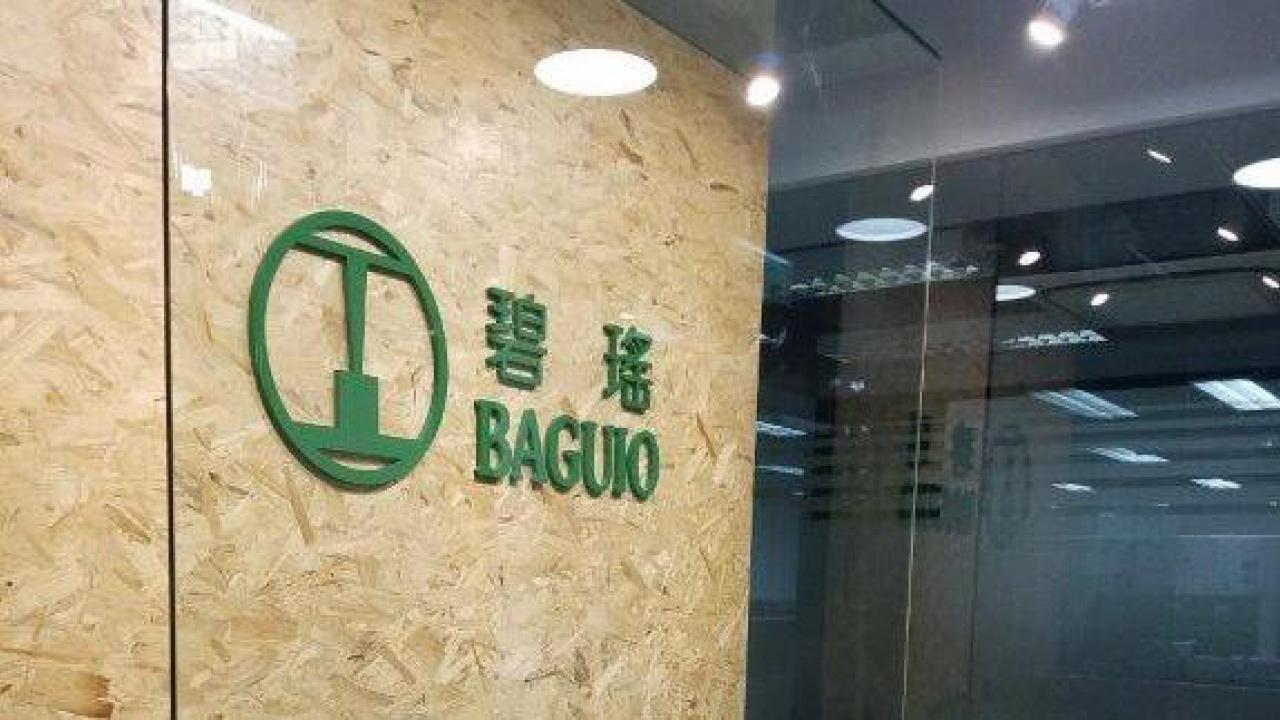 碧瑤綠色優質 或挑戰去年高