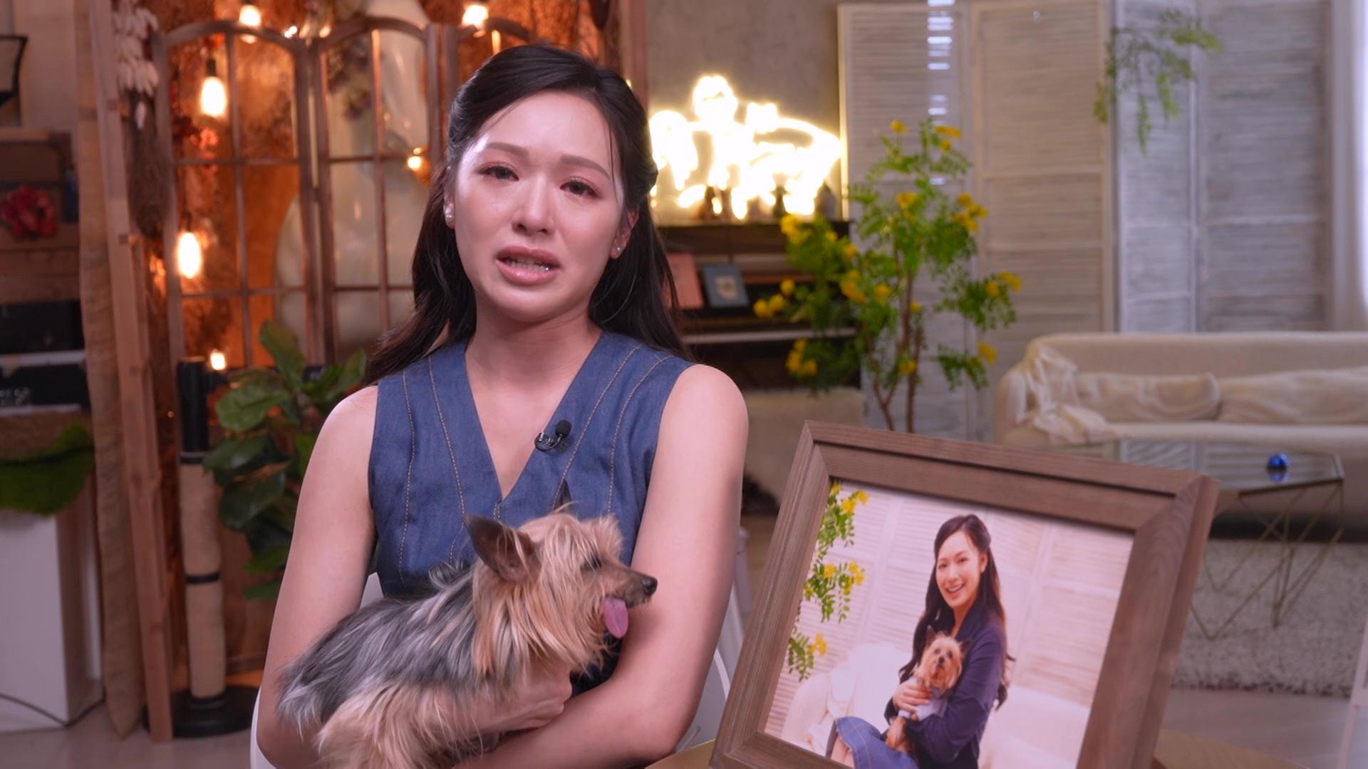 馮盈盈愛犬死後留遺憾 帶狗仔拍寫真感觸淚崩