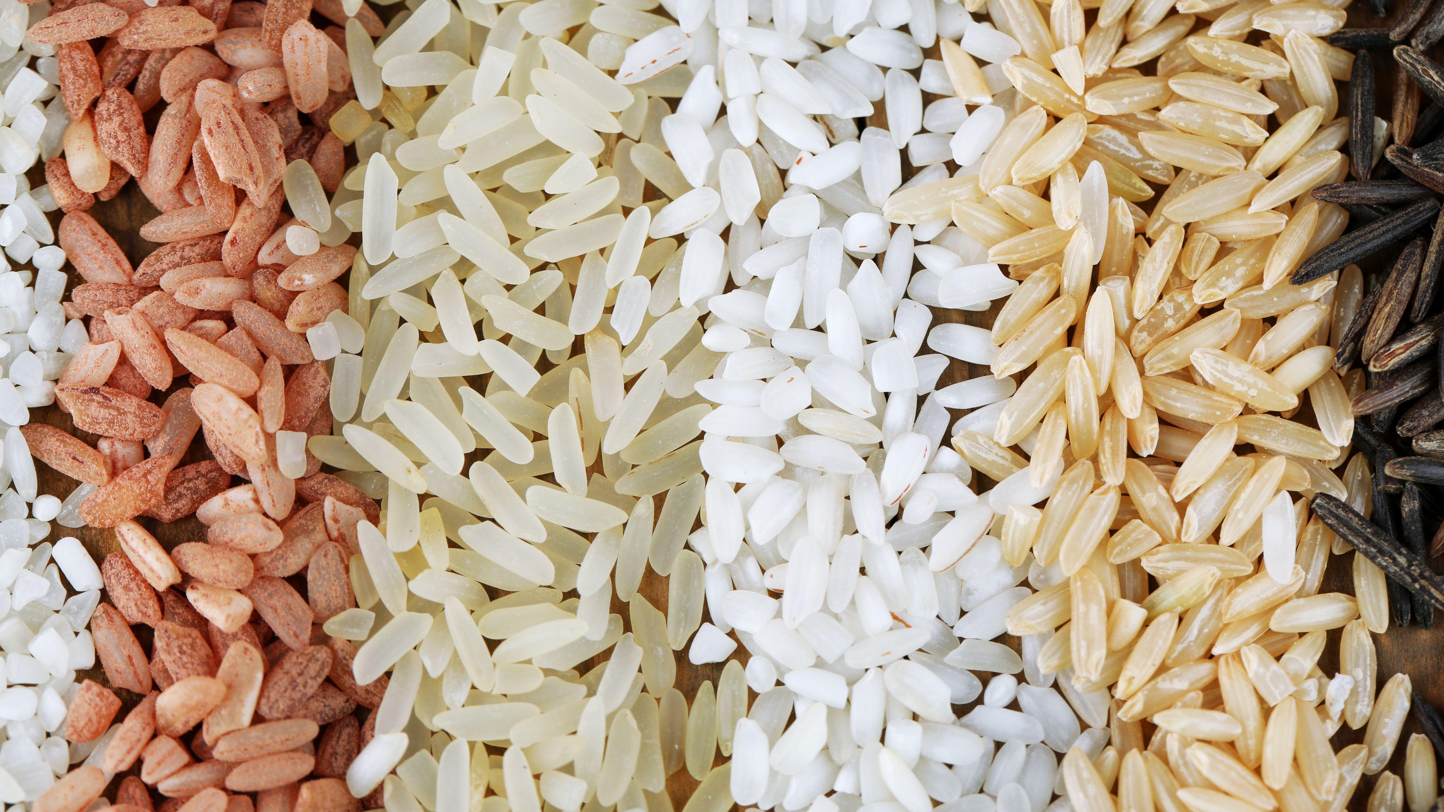 糙米 白飯 血糖 金血糖 控制血糖 糖尿病 血糖血糖 白米 澱粉 精製澱粉