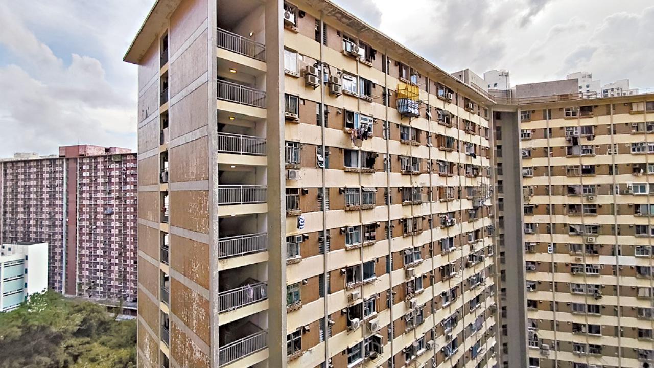 打擊濫用公屋兼顧法理情