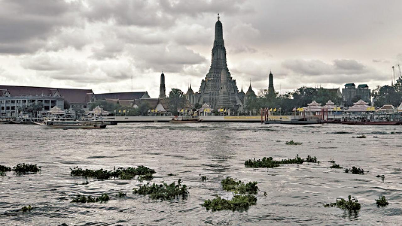 跑遊鄭王廟，隨遇而安