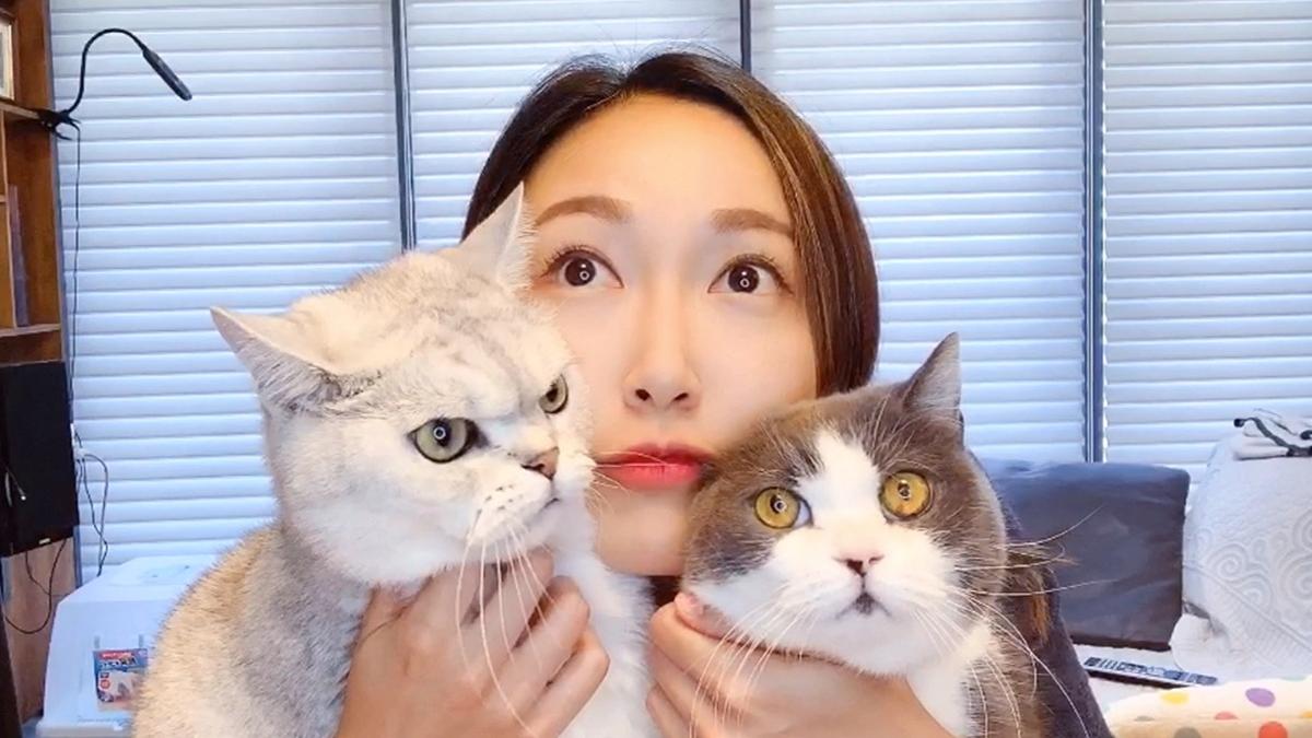 葉巧琳年內兩度喪貓 新歌撫平悲傷情緒