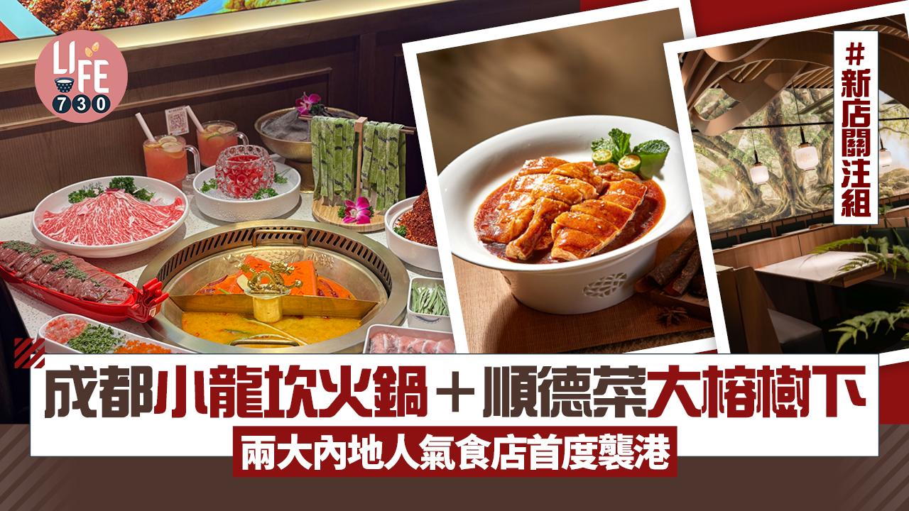 新店關注組｜成都「小龍坎火鍋」＋順德菜「大榕樹下」兩大內地人氣食店襲港