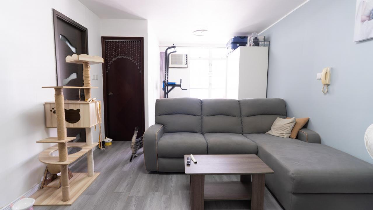 大廳擺放L型大梳化及貓貓跳台後，仍有不少活動空間，可見面積闊落。