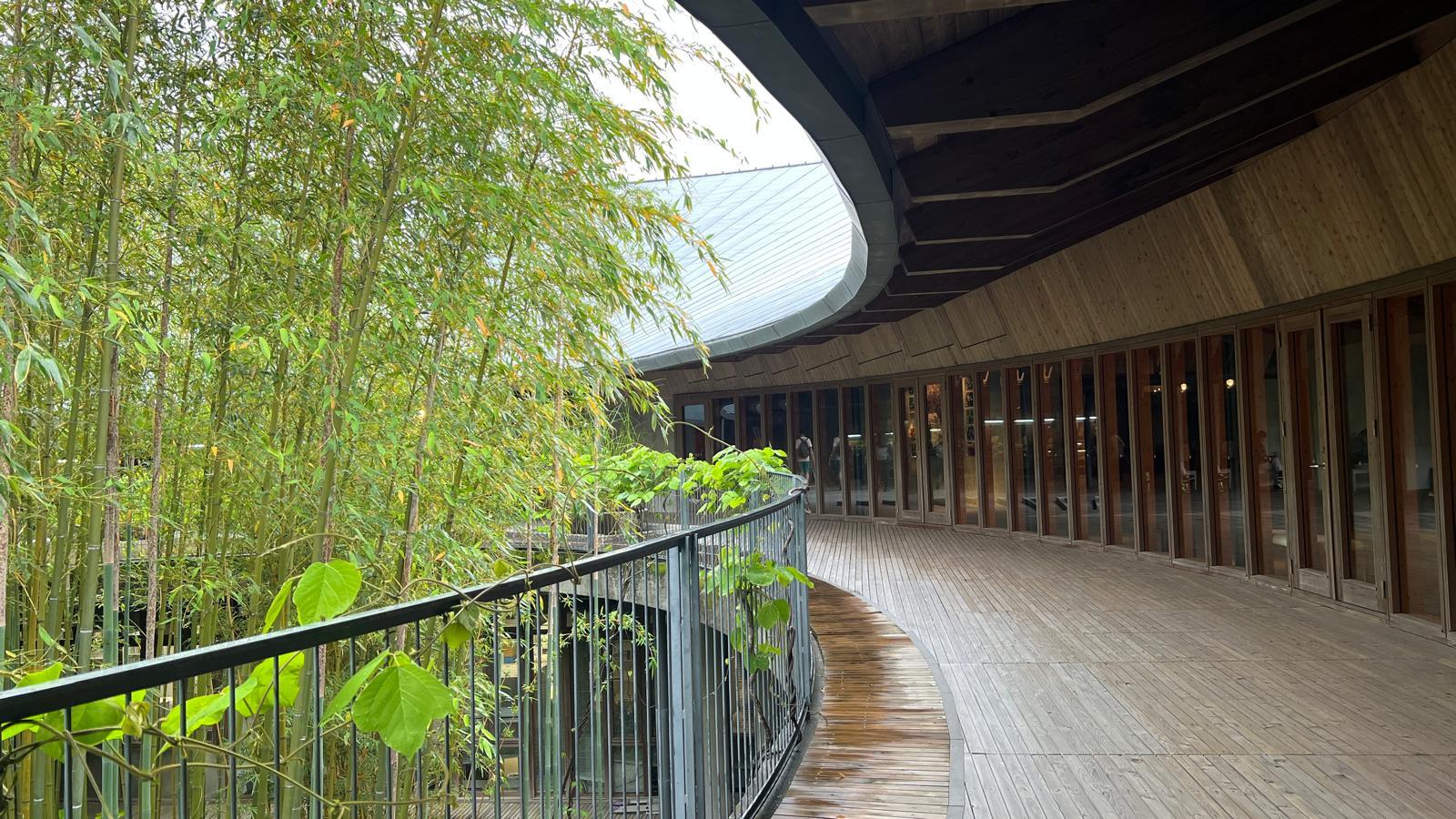 植物分類學之父