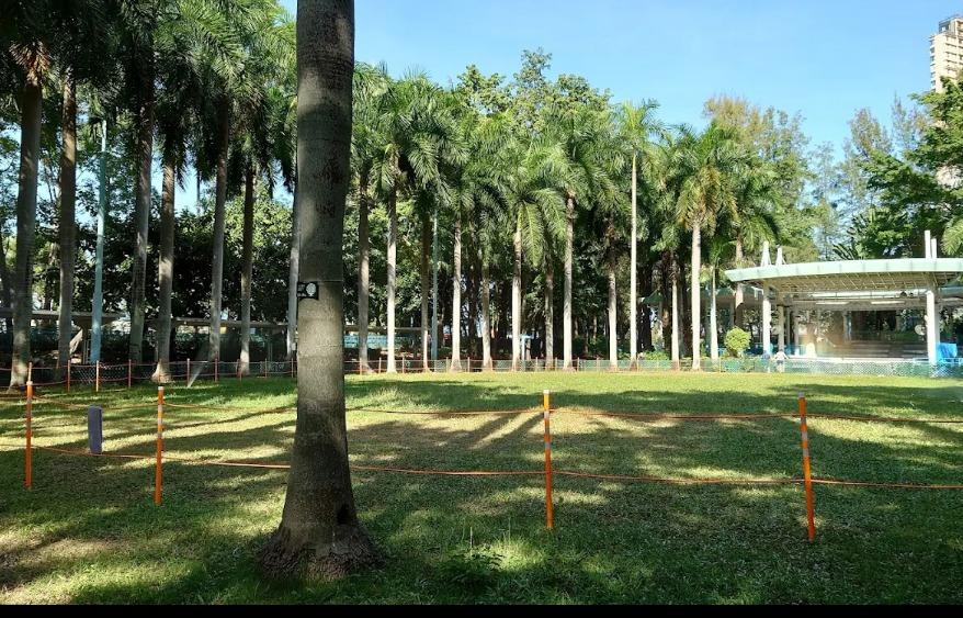 卑路乍灣公園現雙翼被綁鴿屍，警追緝虐鴿狂徒。(網上圖片)