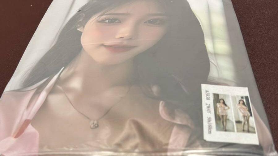 日本男子涉用AI製作淫穢圖片並製成抱枕販賣，圖非涉案物品。(網上圖片)