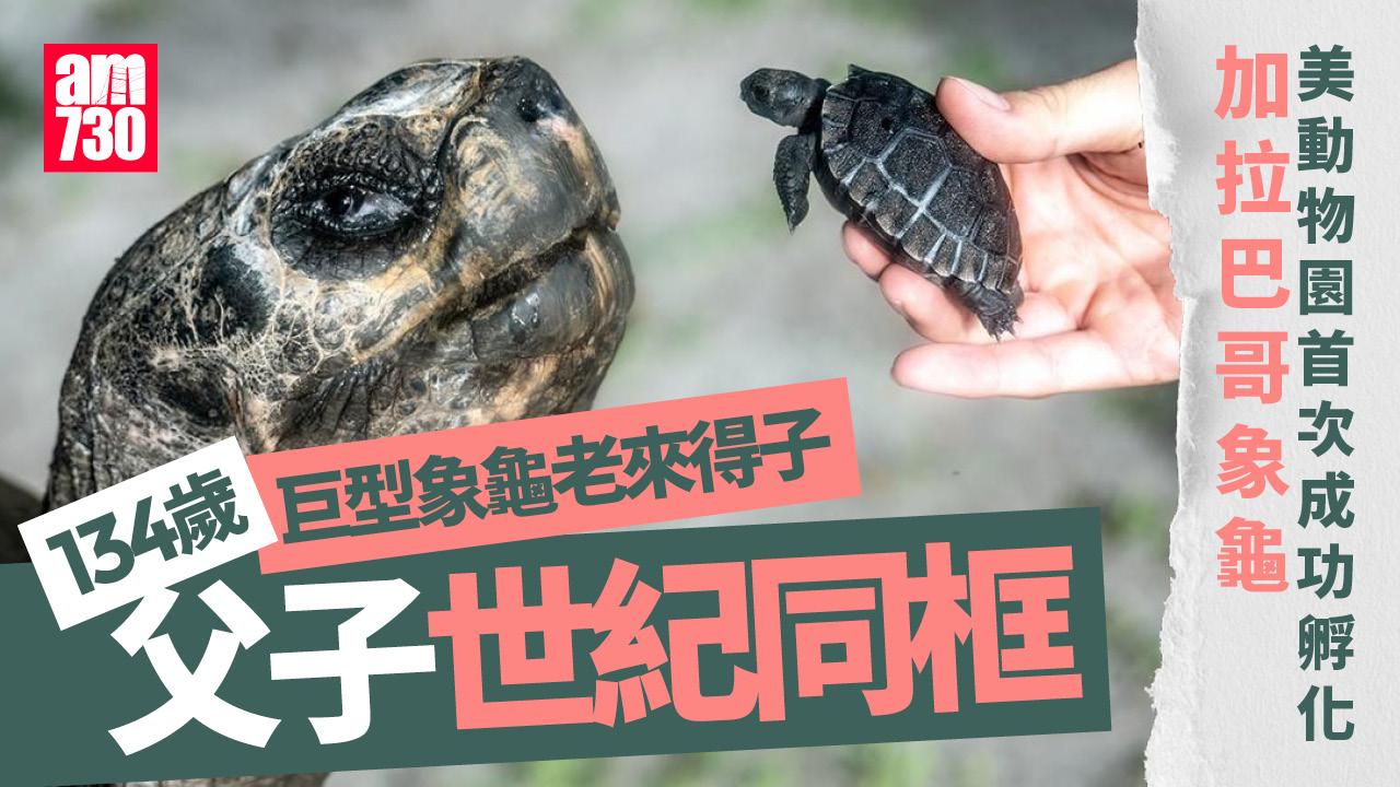 134歲老來得子首次做老竇　美象龜父子世紀同框(有片)