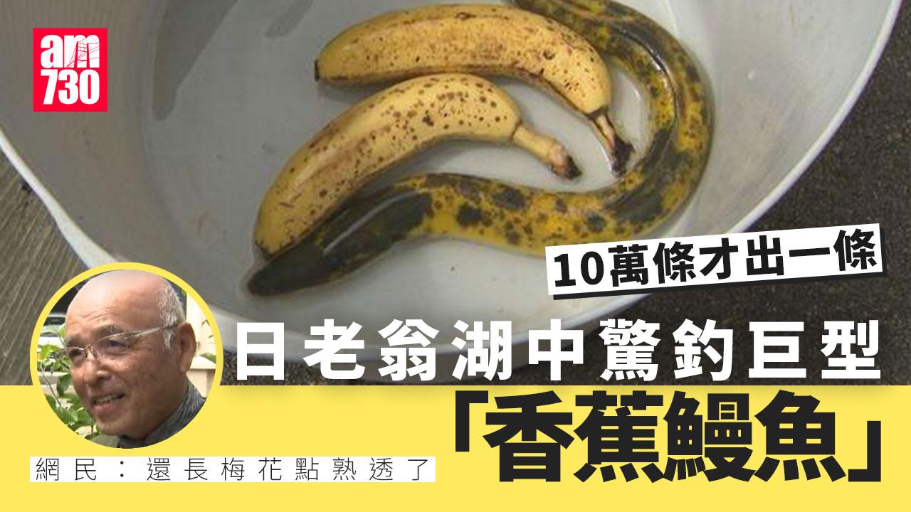10萬條才出現一條　釣友釣到「香蕉」鰻魚還長梅花點(有片)