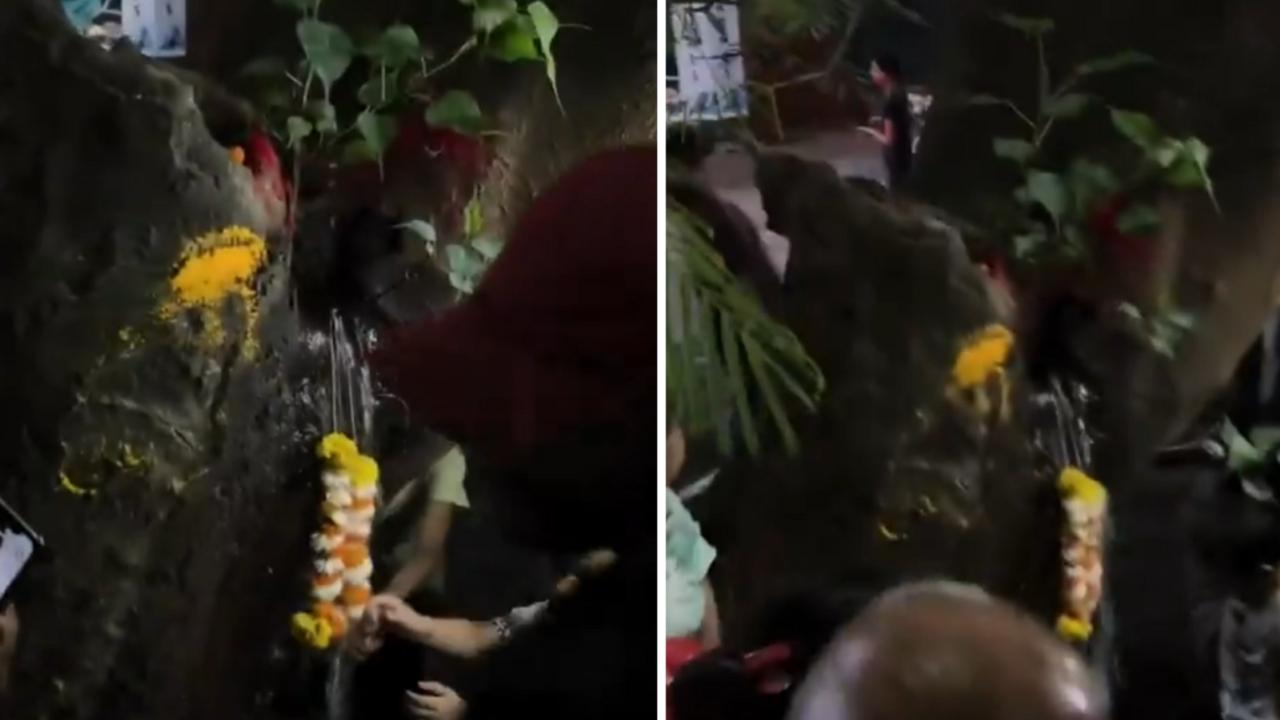 印度樹木流出「聖水」以訛傳訛當神蹟　真相竟是水管破裂