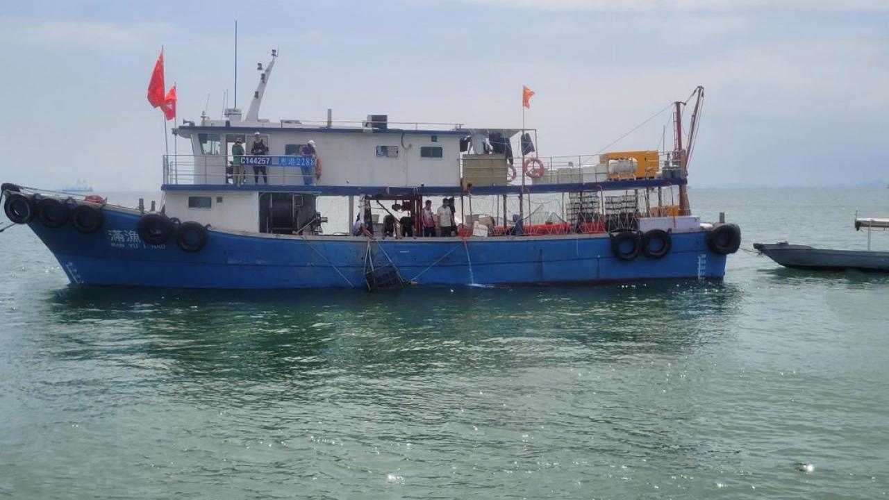 響應「全國放魚日」　機管局放6萬幼魚冀提升西部水域生物多樣性