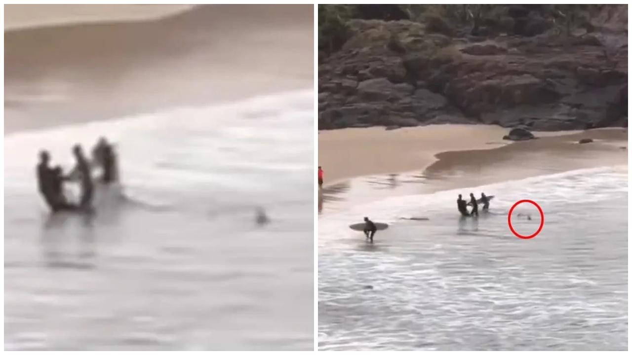 16歲少年遭鯊魚咬傷，慘被追殺到岸邊。