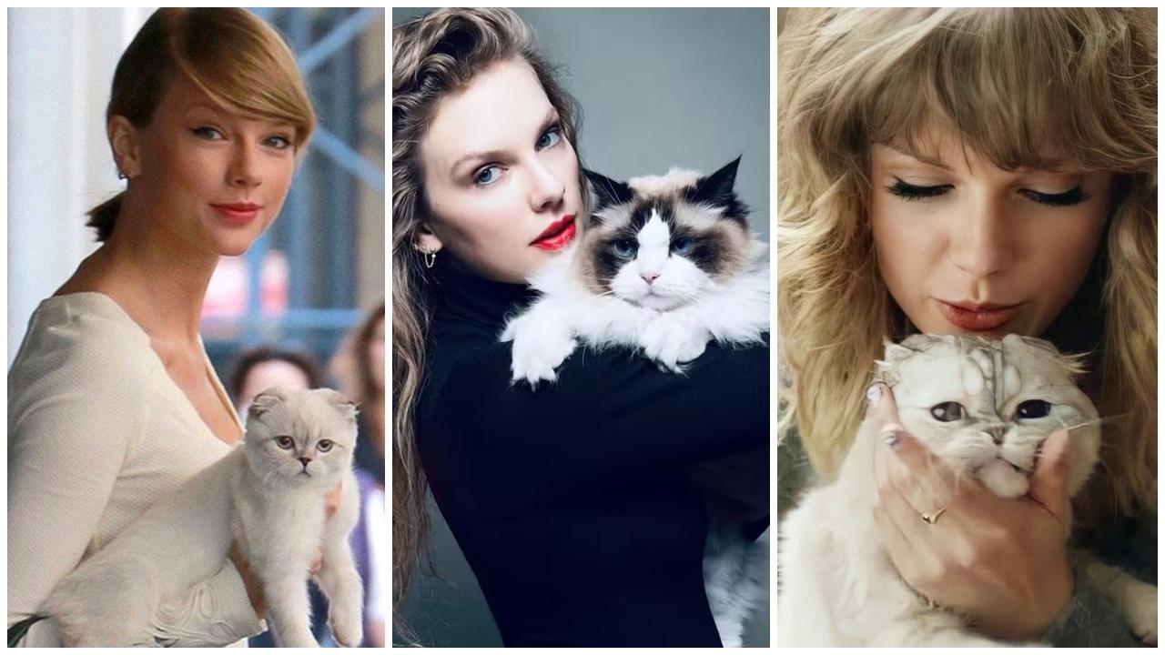Taylor Swift帶動Z世代養貓潮，英國貓奴將超越狗奴。(X)