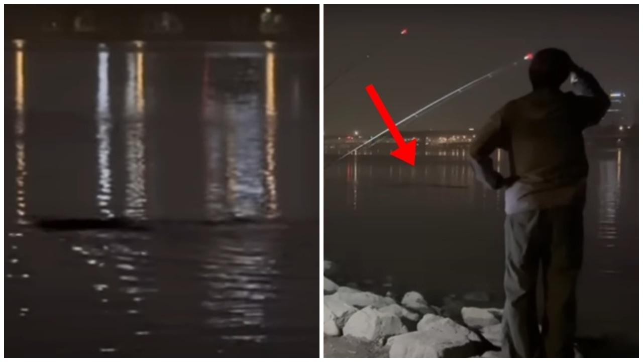 釣友驚見6米黑影江中游動，網民：《韓流怪嚇》是真？(YouTube)