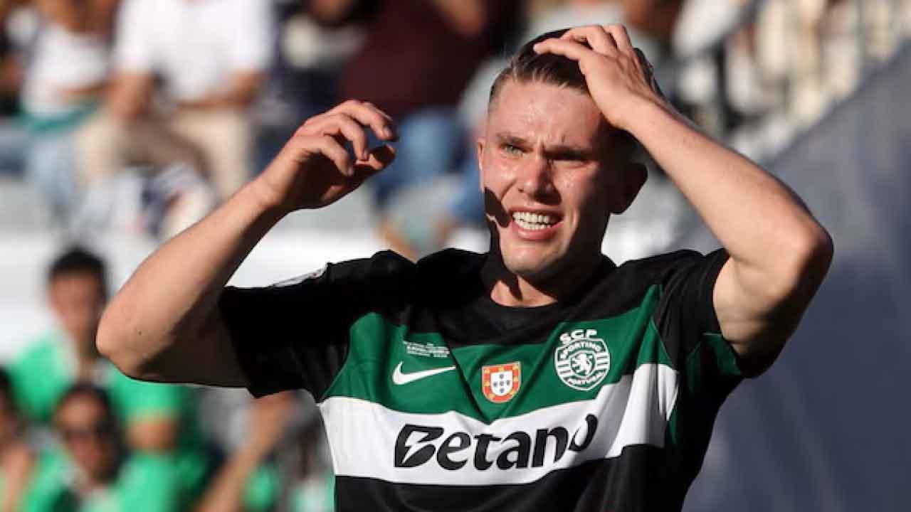 紐尼斯海倫混合版