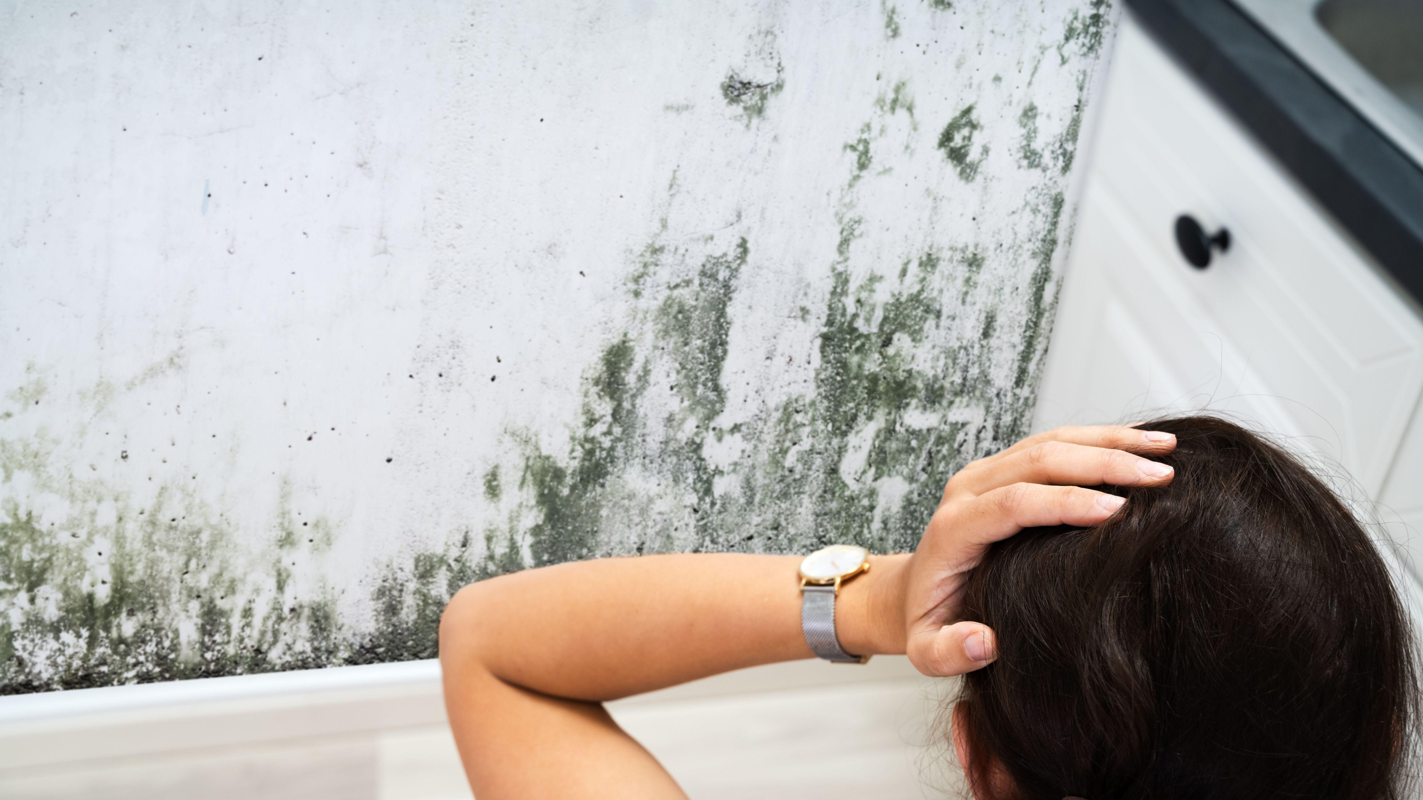 發霉 肺感染 抑鬱症 黴菌 霉點 環境健康 過敏反應