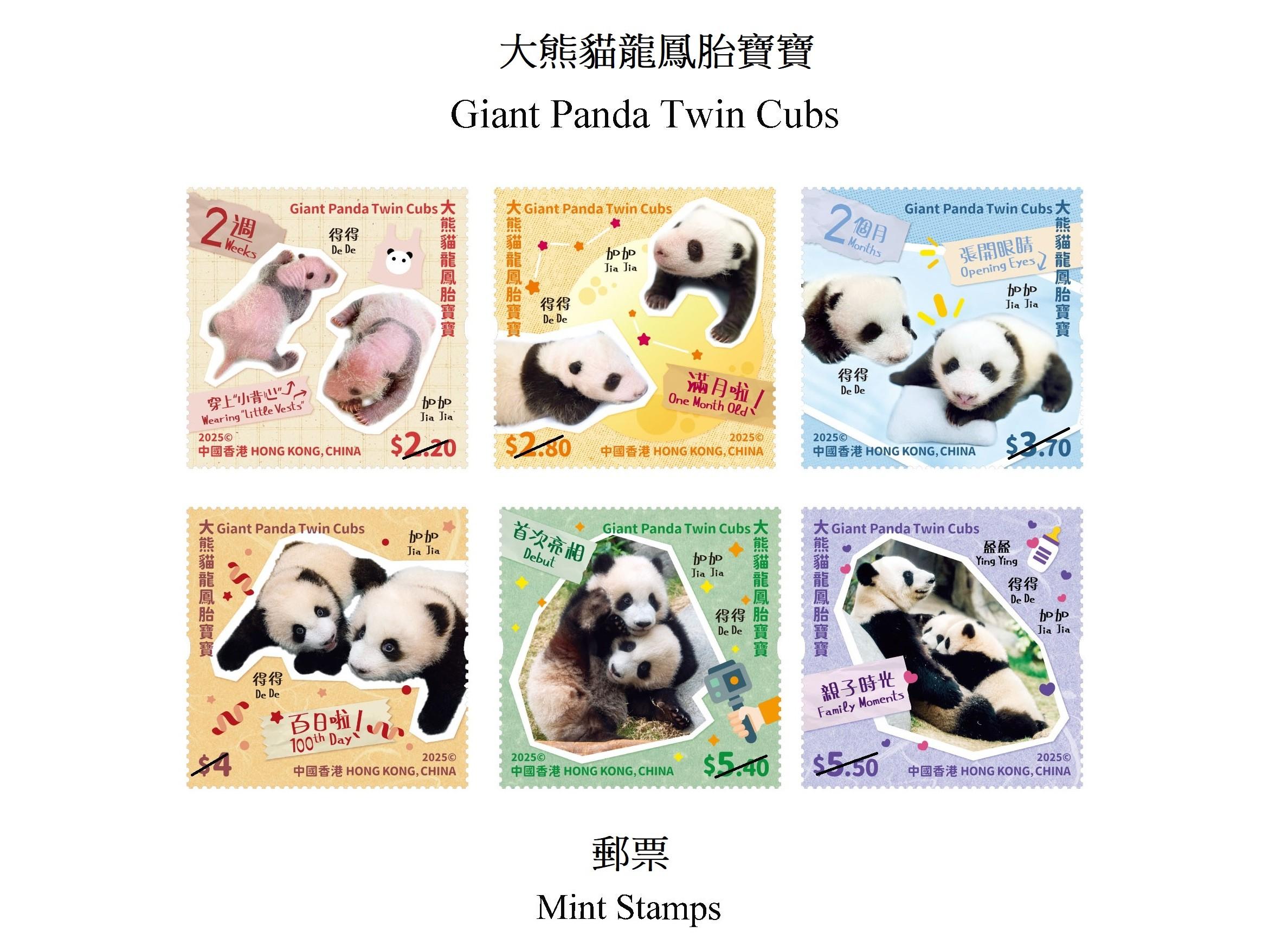 「大熊貓龍鳳胎寶寶」特別郵票，8.15推出發售。(政府新聞處)