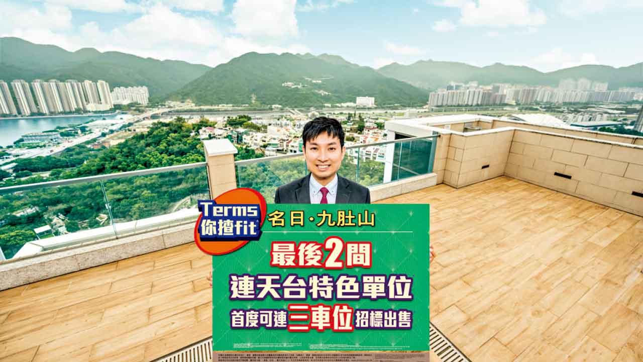 名日．九肚山「晒冷」推22伙 下周一起招標 可連車位認購