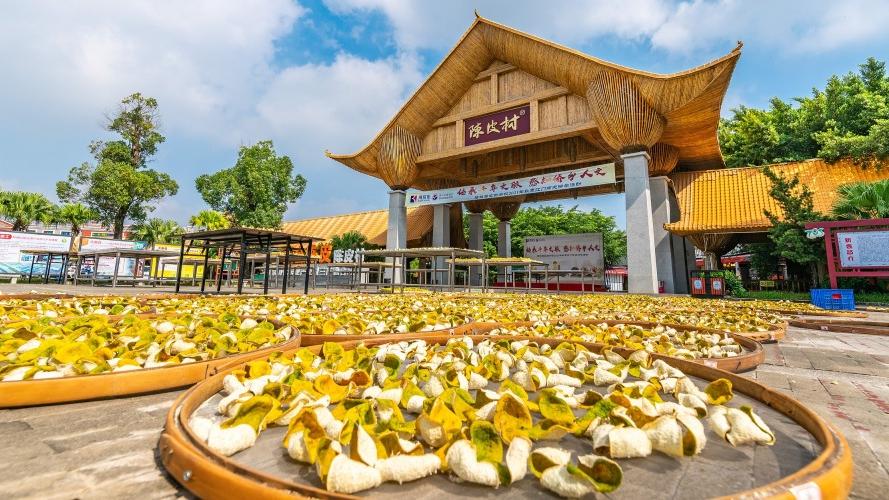 廣東博物館看世界美食之都　探秘獨特飲食文化｜灣區自由行