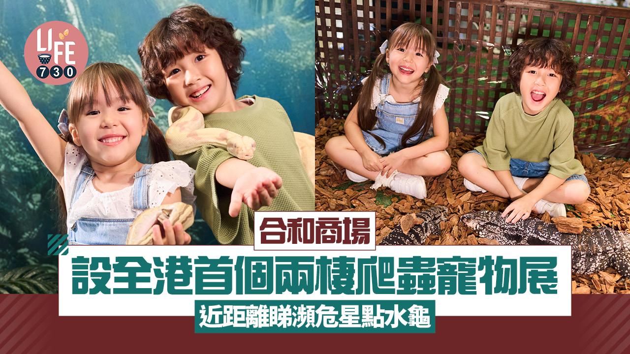 暑假好去處｜合和商場設全港首個兩棲爬蟲寵物展 近距離睇瀕危星點水龜  親手整動物標本