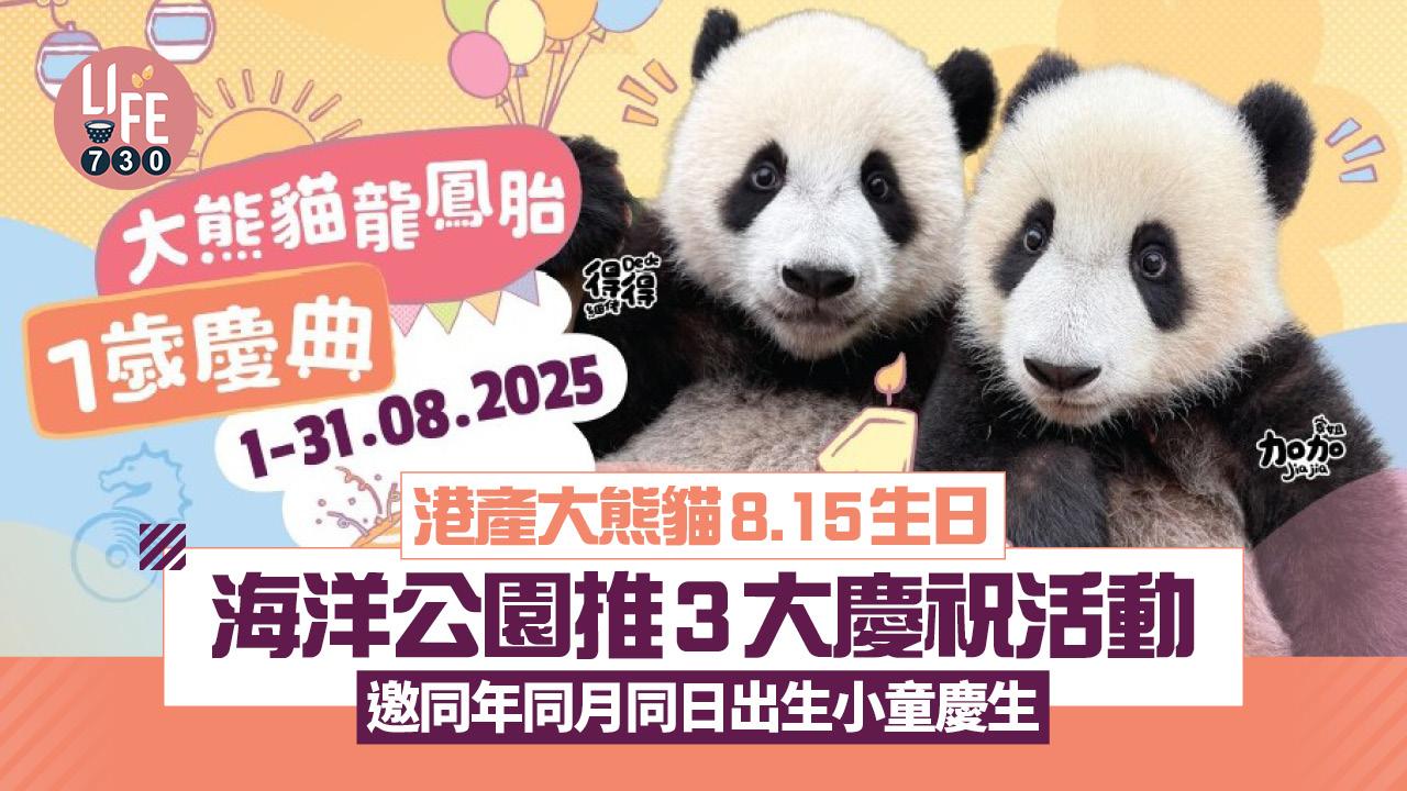 港產大熊貓8.15生日！ 海洋公園推3大慶祝活動 邀同年同月同日出生小童慶生