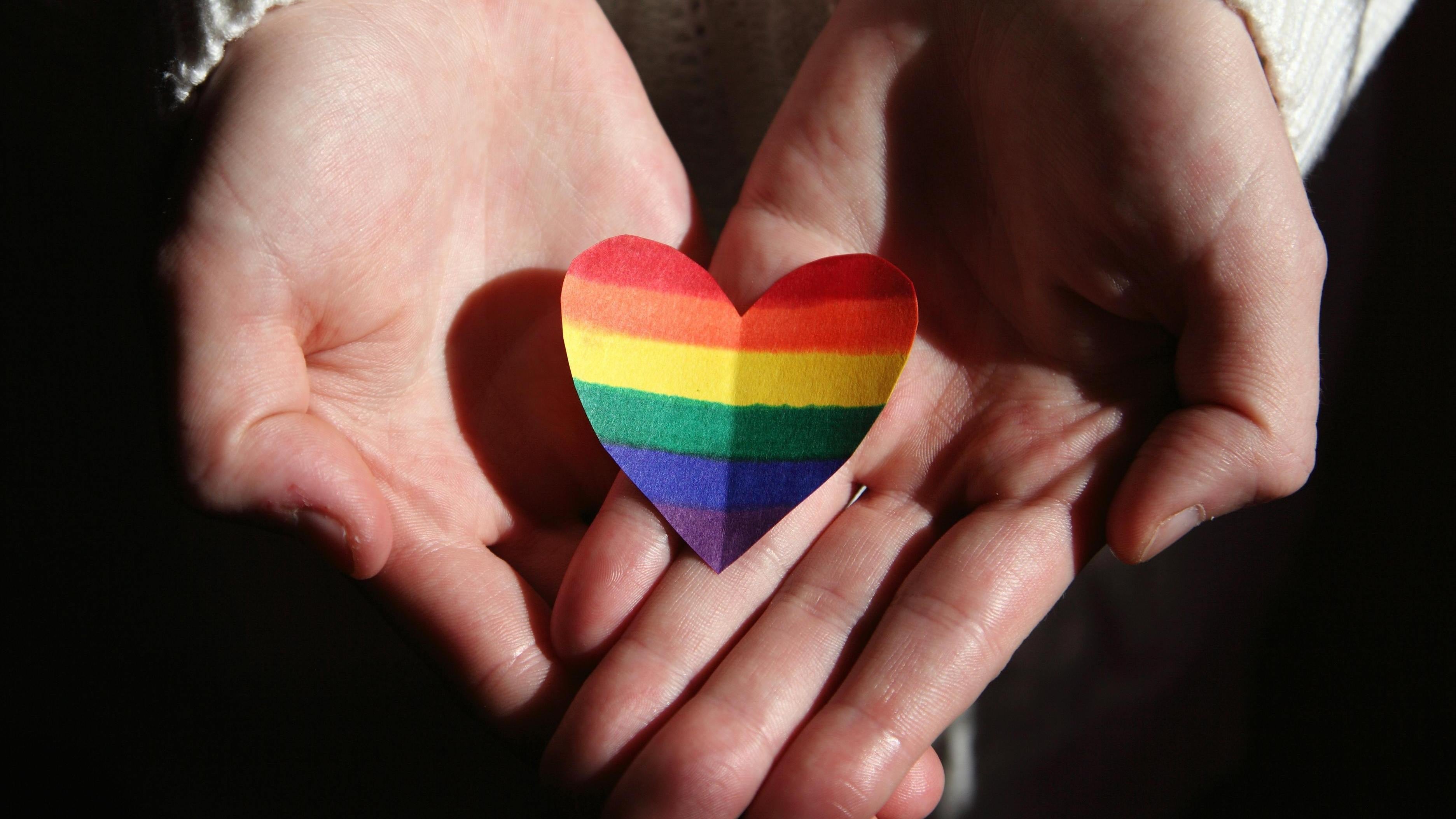 政府提出同性伴侶登記制