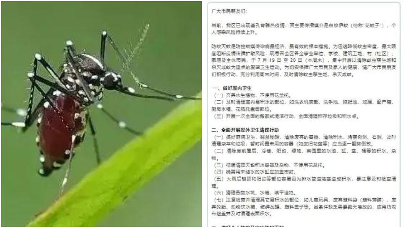 廣東佛山爆發基孔肯雅熱疫情。（圖／翻攝廣東疾控中心官網）