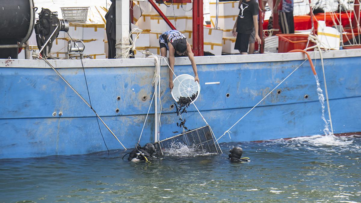機管局上月在機場中跑道及南跑道敷設了人工魚礁的位置，投放6萬條幼魚。(機管局圖片)