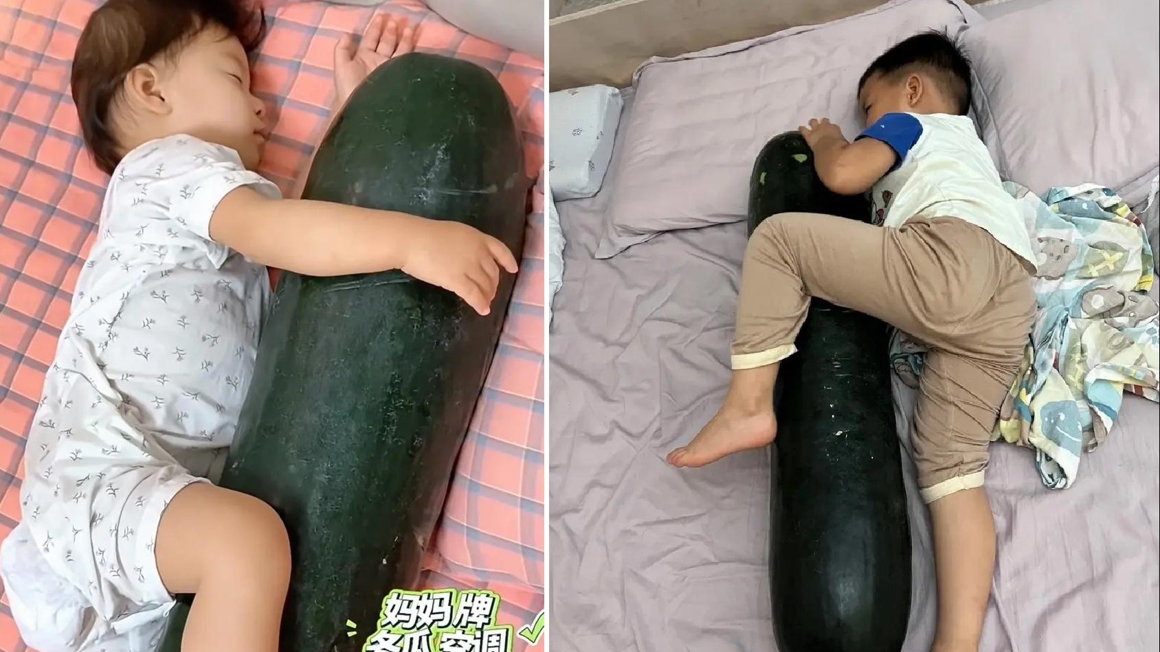 網民分享小孩子抱冬瓜睡覺的照片。(互聯網)