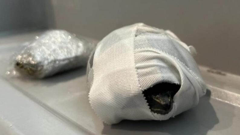 女子用繃帶和保鮮紙把兩隻龜包裹，將牠們藏在內衣裡，試圖闖關。(互聯網)