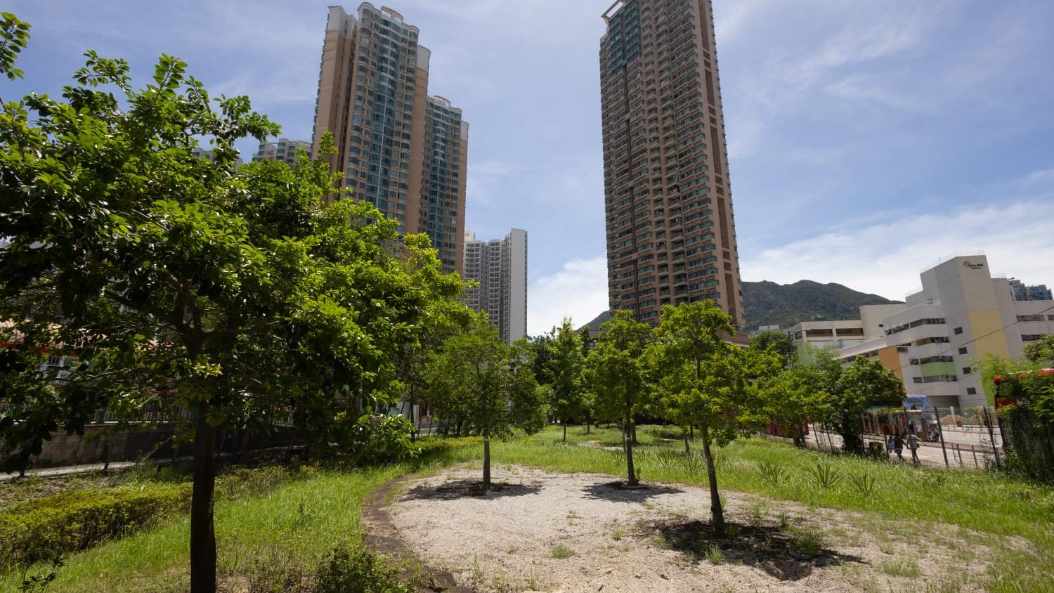 買地氣氛恢復熾熱 發展商推盤更積極