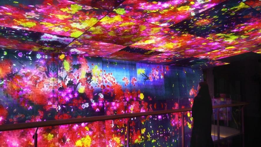 廣東商場的奇幻建築　中洲灣teamLab／K11／坂田萬科不去不可！｜灣區自由行