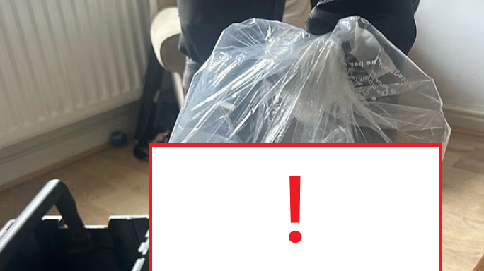 英國驚現「犬鼠」！22英吋巨鼠闖民宅 議員警告社區恐爆發鼠患