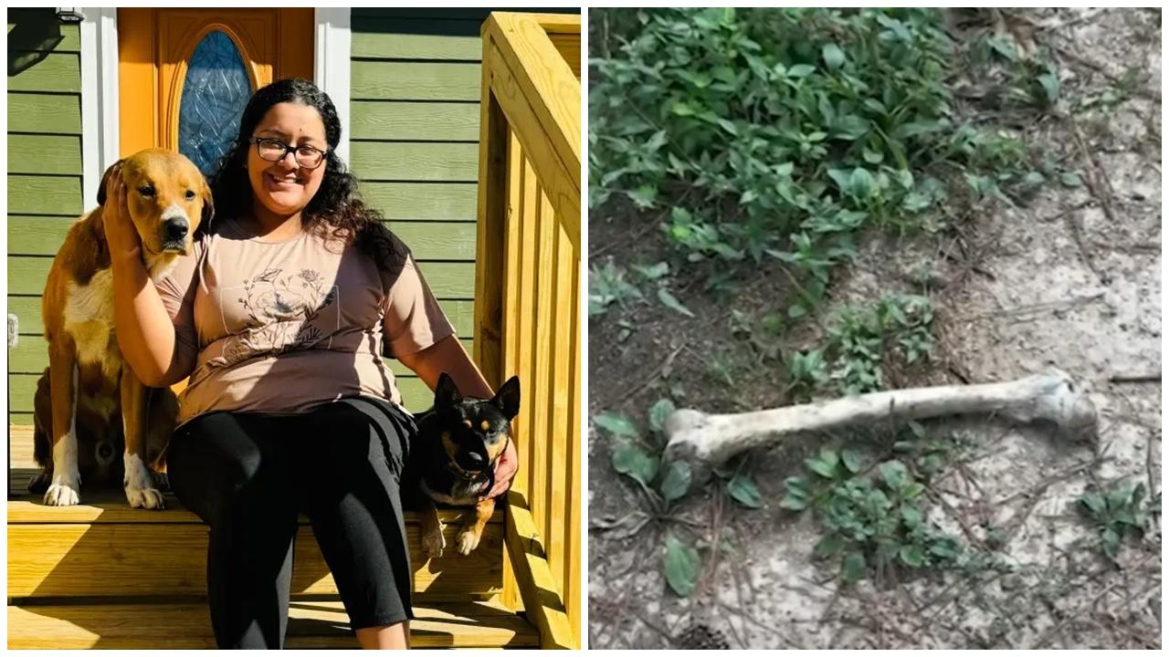 狗狗一年叼回4次人骨，主人苦惱懸案未破。(網上圖片)