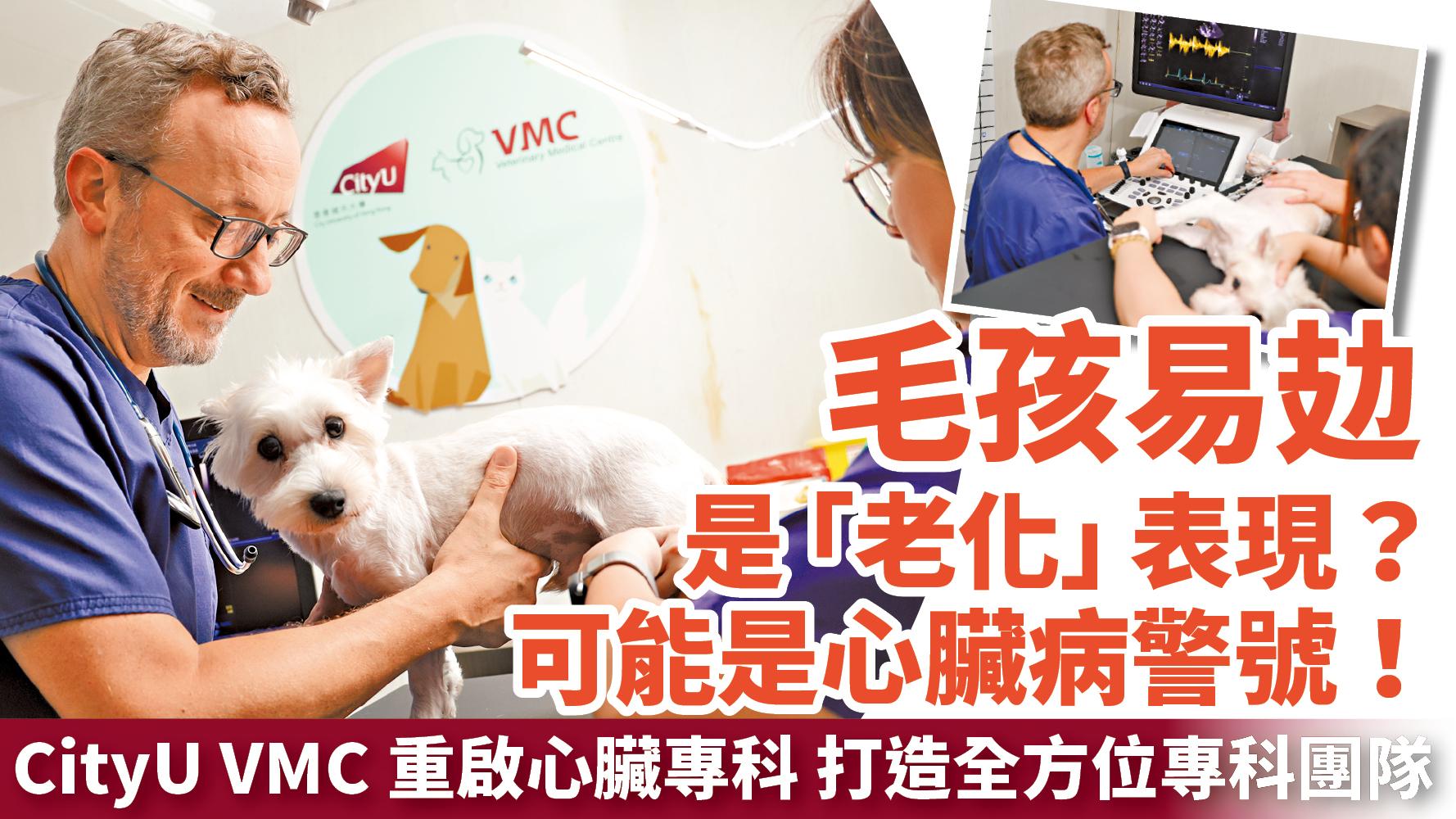 毛孩易攰是「老化」表現？可能是心臟病警號！CityU VMC重啟心臟專科 打造全方位專科團隊