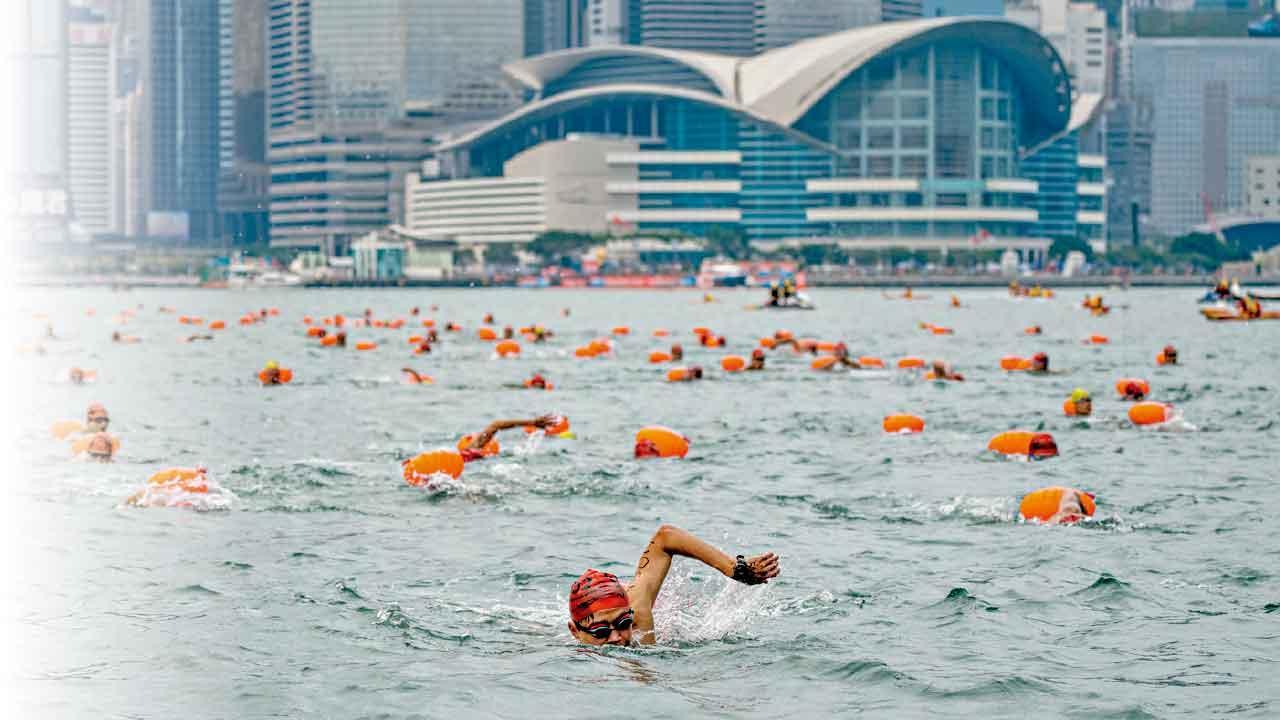 維港泳11.22舉行 優悠組最多4人組隊齊參賽