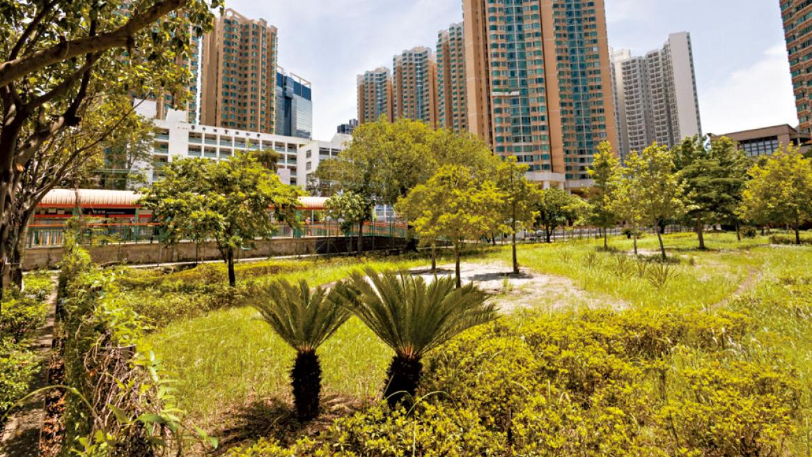 信置近11億奪屯門地皮 中標價高估值上限四成