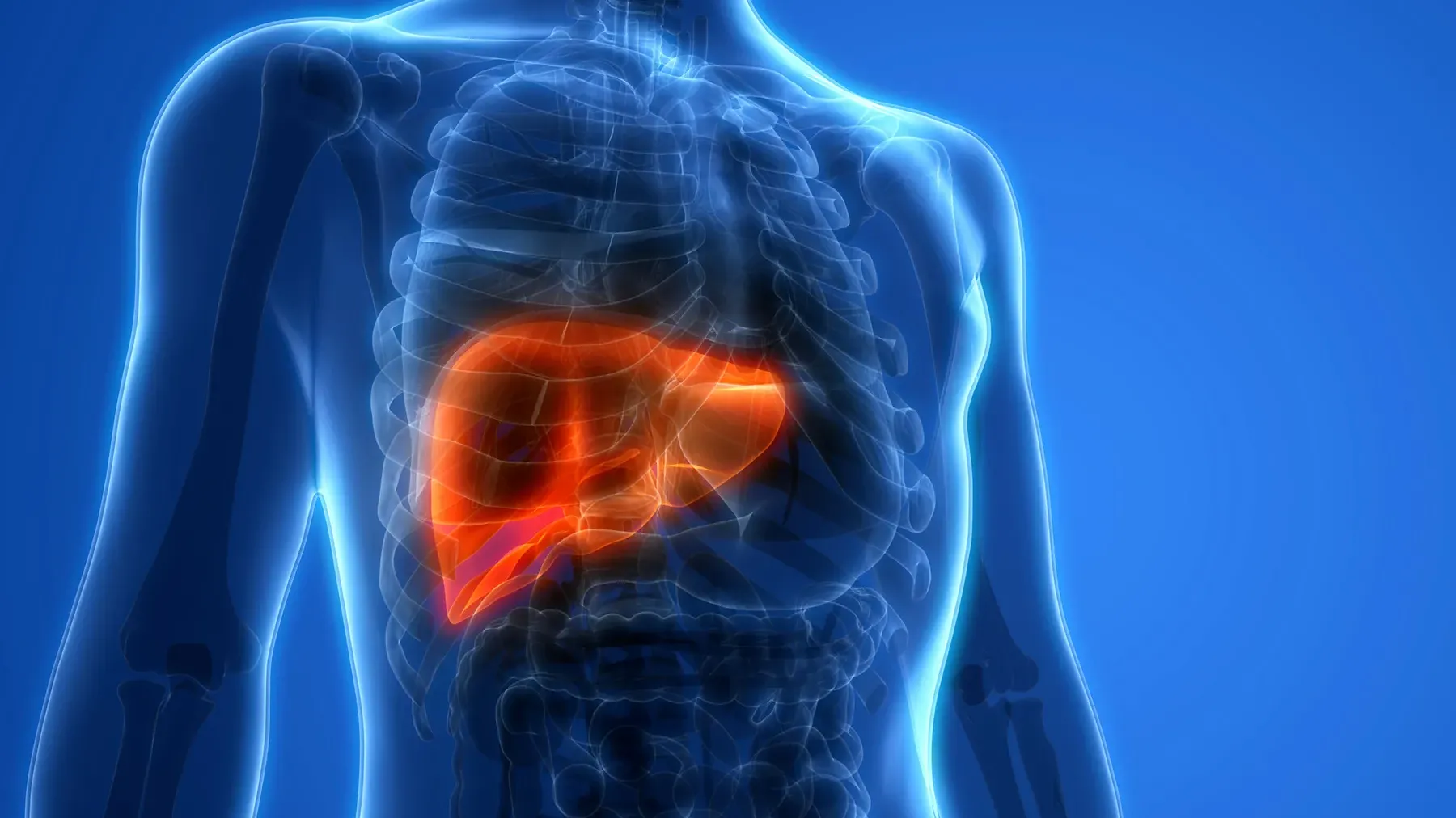 中醫角度看肝臟健康