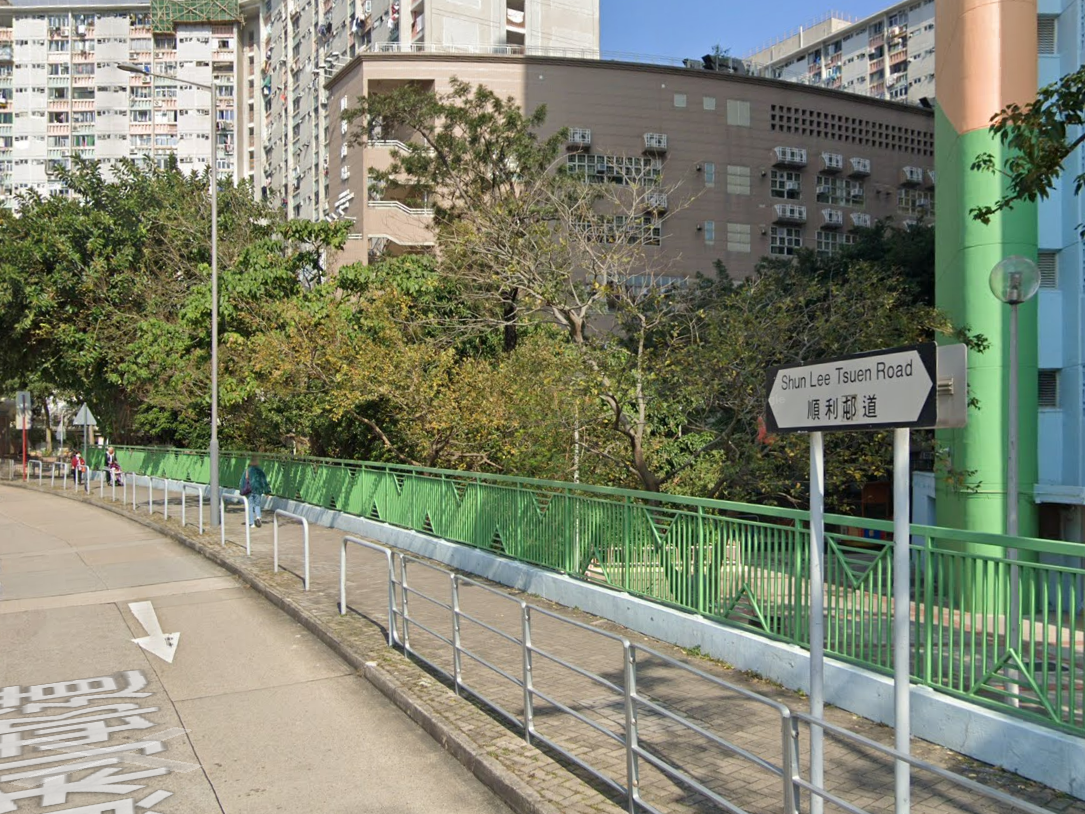 順利邨道貓咪疑遭車撞倒斃路中，義工到場檢走遺體。(Google街景截圖)