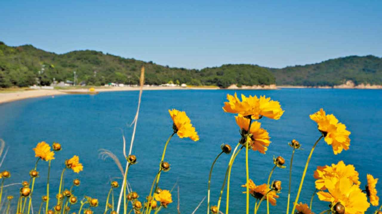 浴火重生的瀨戶內海島嶼