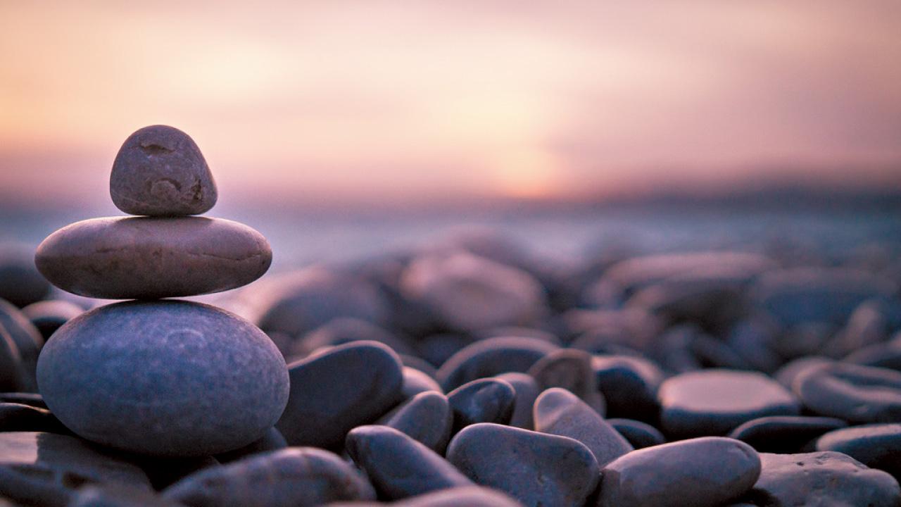 萬紫千虹 曹虹 旨言