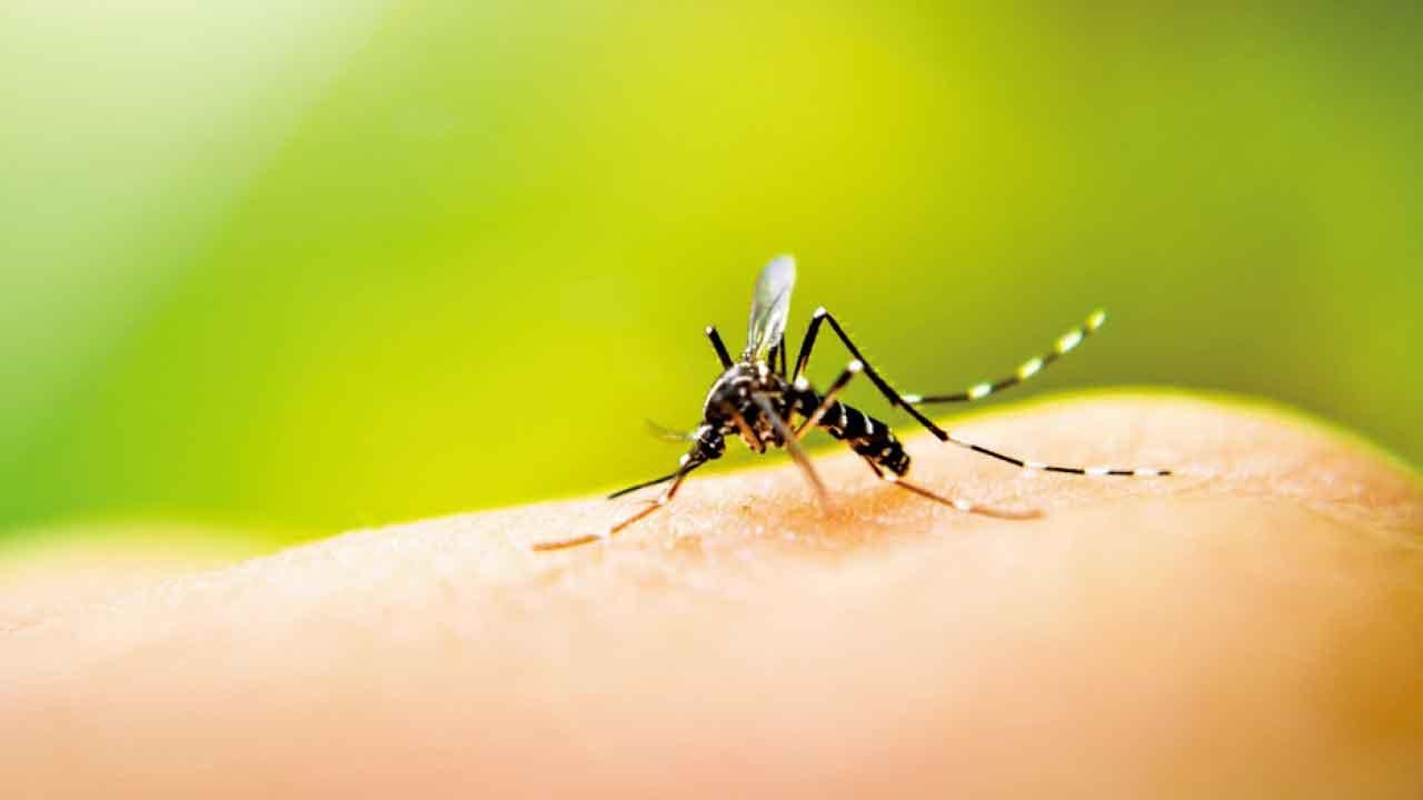 黑雨與啟的第五騎士