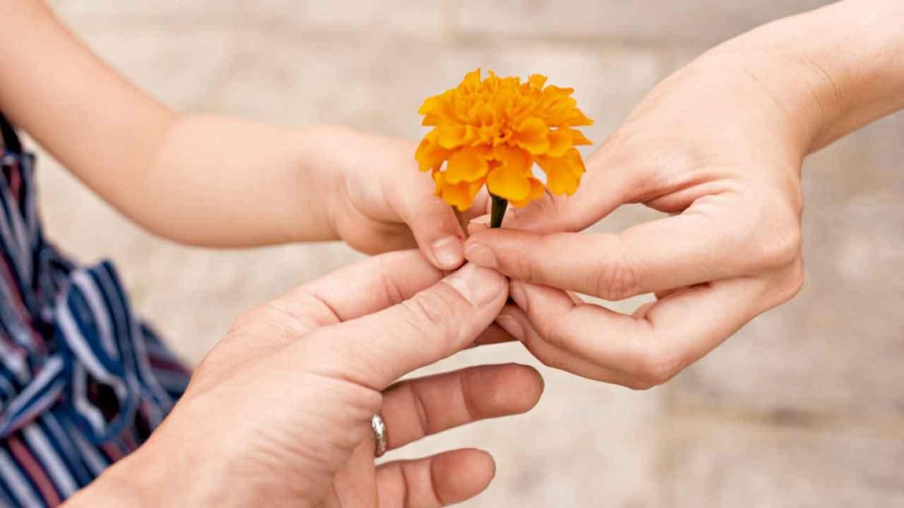 道歉的藝術：不是低頭，而是理解