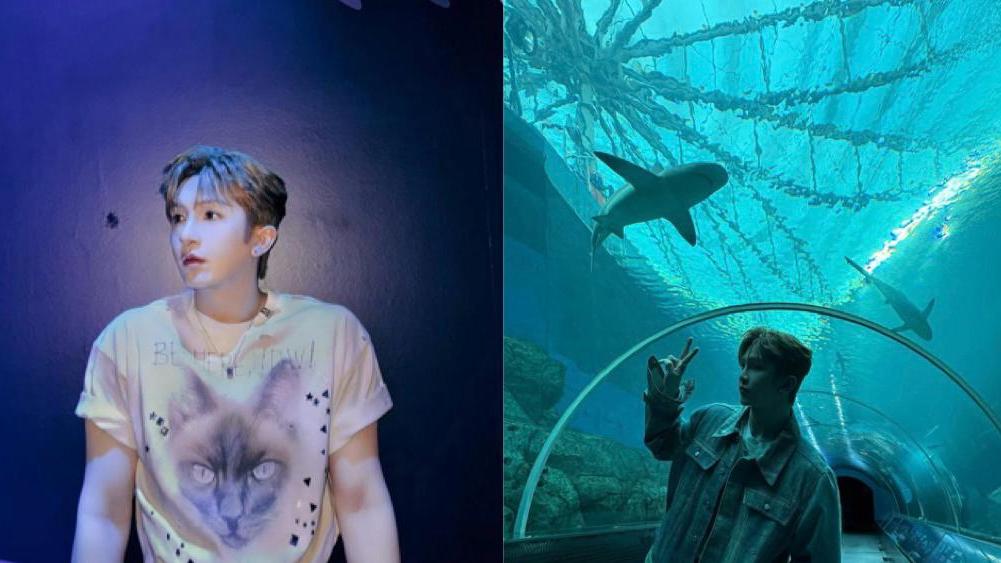 盧瀚霆挑戰怕魚陰影 參觀海洋館舉V字手勢與跟巨鯊合照