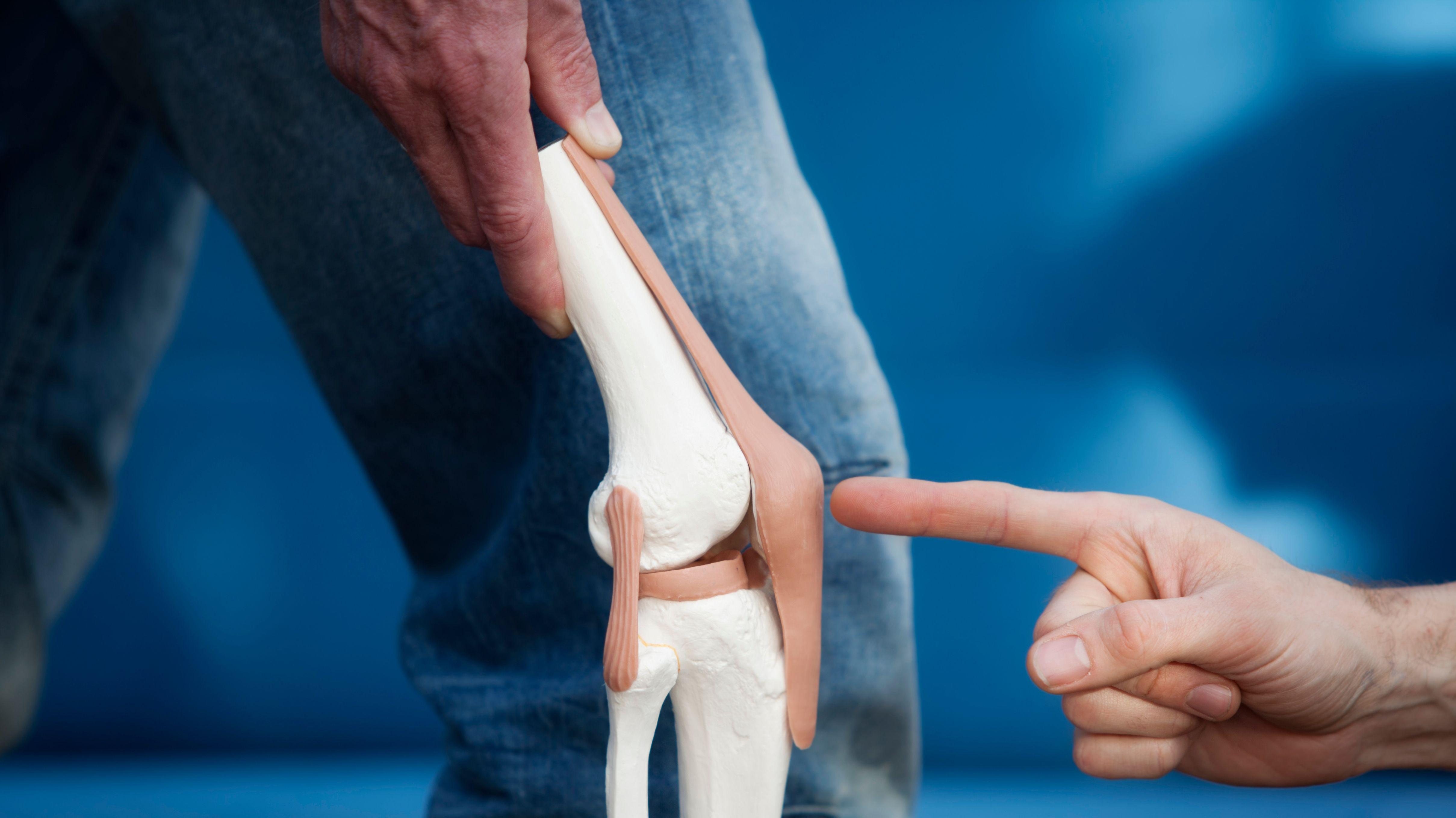 膝頭退化 膝關節退化 膝關節 關節退化  關節痛 發炎 護膝 營養