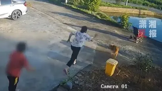 廣東婦分心聊天BB車滑入魚塘　急搶救卻一同跌落水