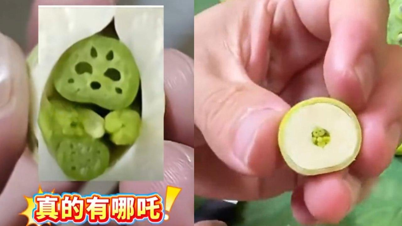 蓮子切開有哪吒仲會畀心心？植物學家還原真相