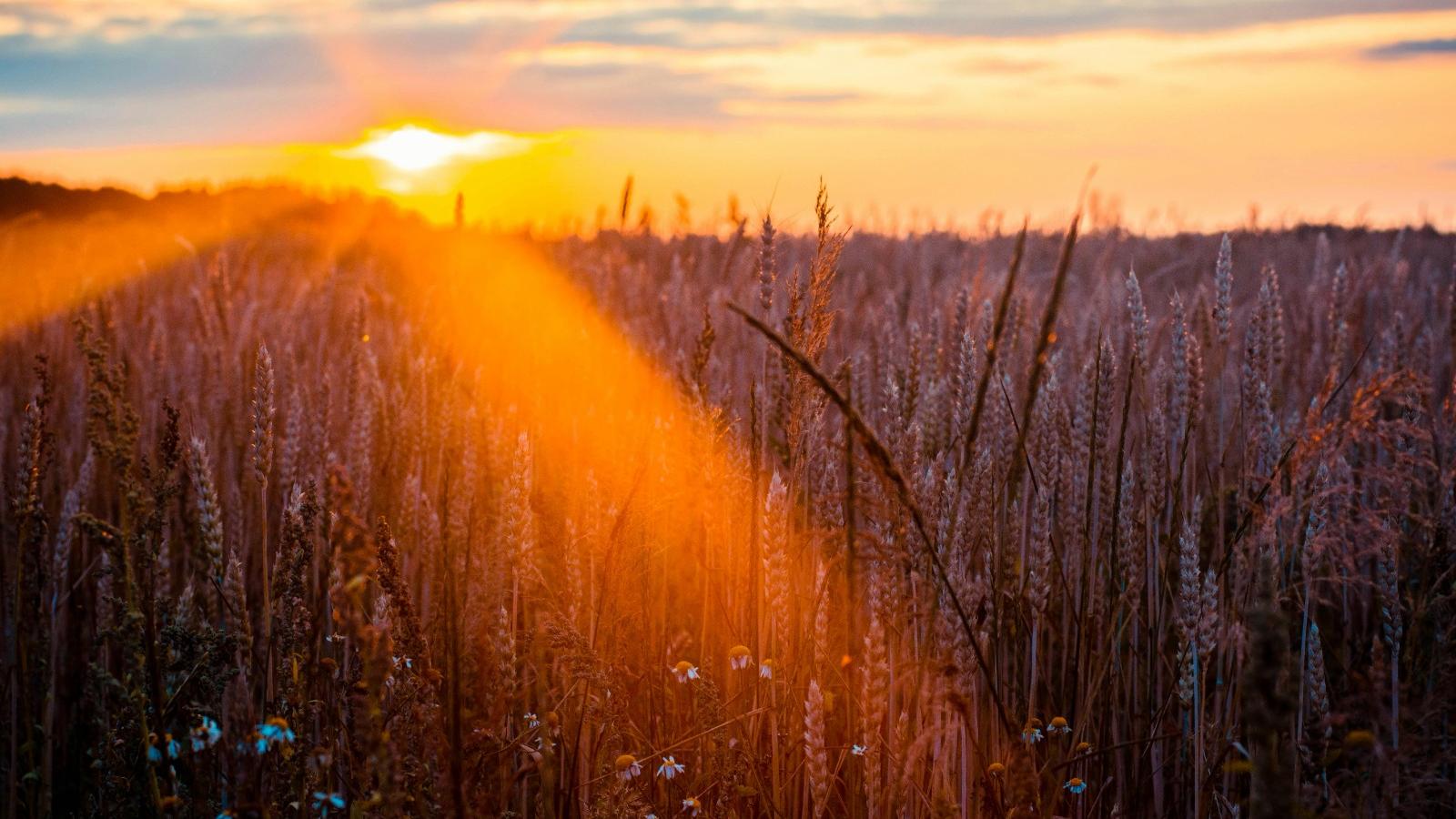 如何體驗宇宙能量的轉變？
